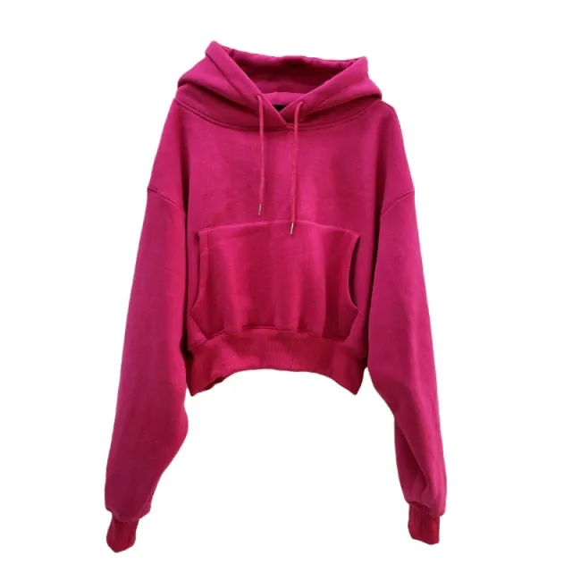 Women Hoodies Suit Solid Casual Tracksuit Velvet 2 Pcs Set Sports Sweatshirts