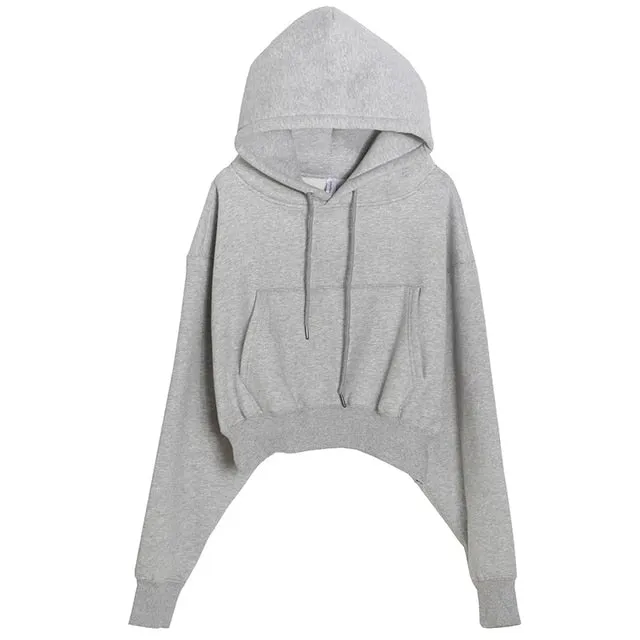 Women Hoodies Suit Solid Casual Tracksuit Velvet 2 Pcs Set Sports Sweatshirts