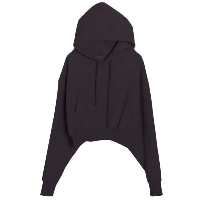 Women Hoodies Suit Solid Casual Tracksuit Velvet 2 Pcs Set Sports Sweatshirts